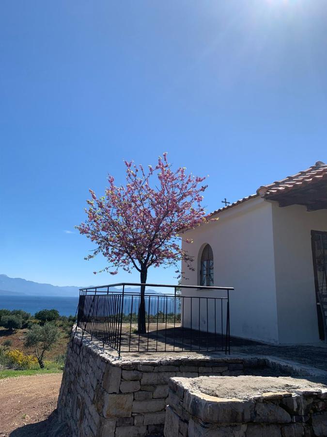 Villa Delfini Chrani Esterno foto
