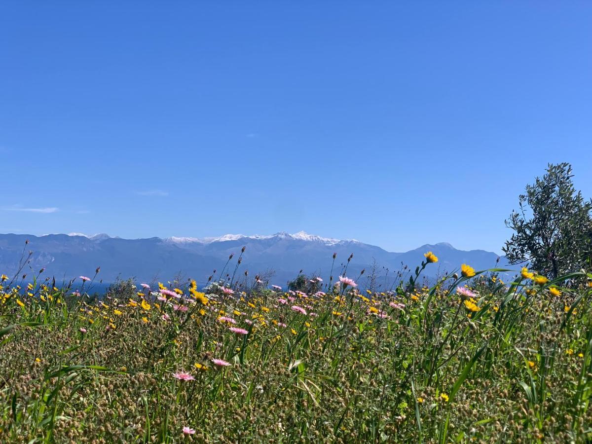 Villa Delfini Chrani Esterno foto