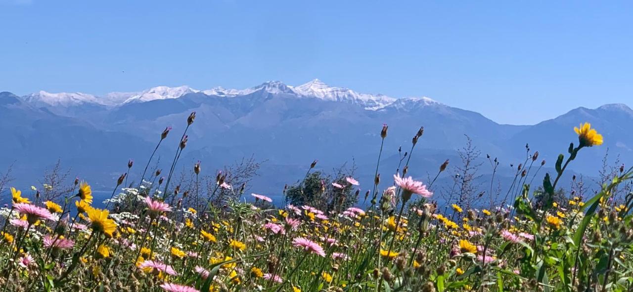 Villa Delfini Chrani Esterno foto