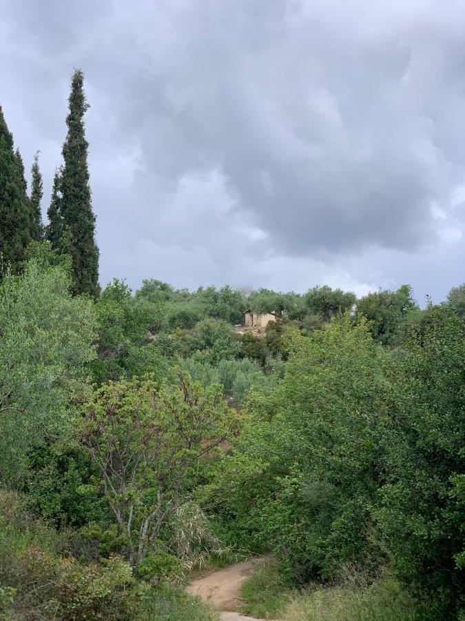 Villa Delfini Chrani Esterno foto